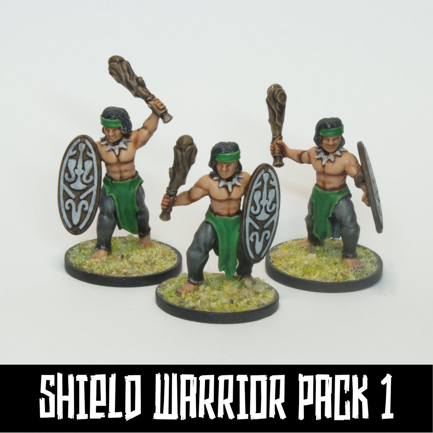 SHIELD WARRIOR PACK 1