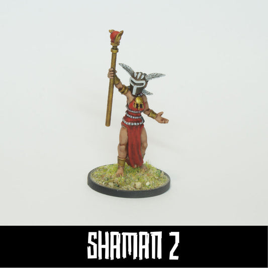 SHAMAN 2