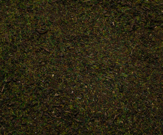 Base Ready Pine Forest Ground Cover