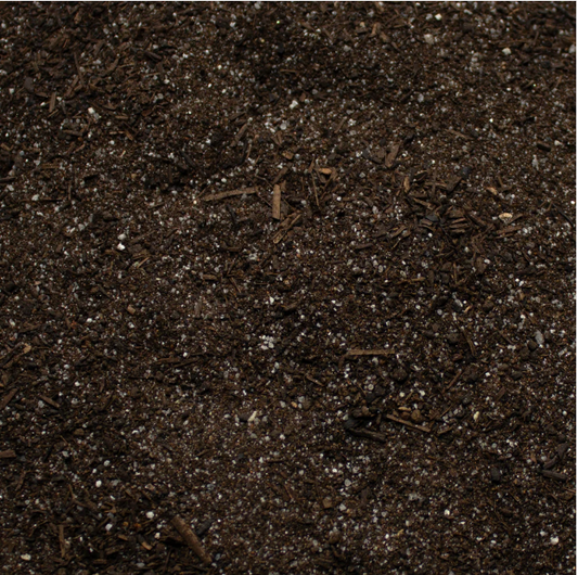 Base Ready:  Forest Path 250ml Tub